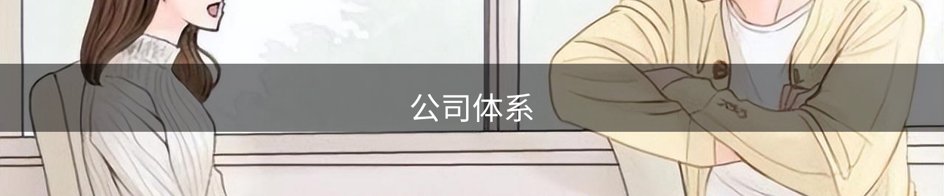公司体系